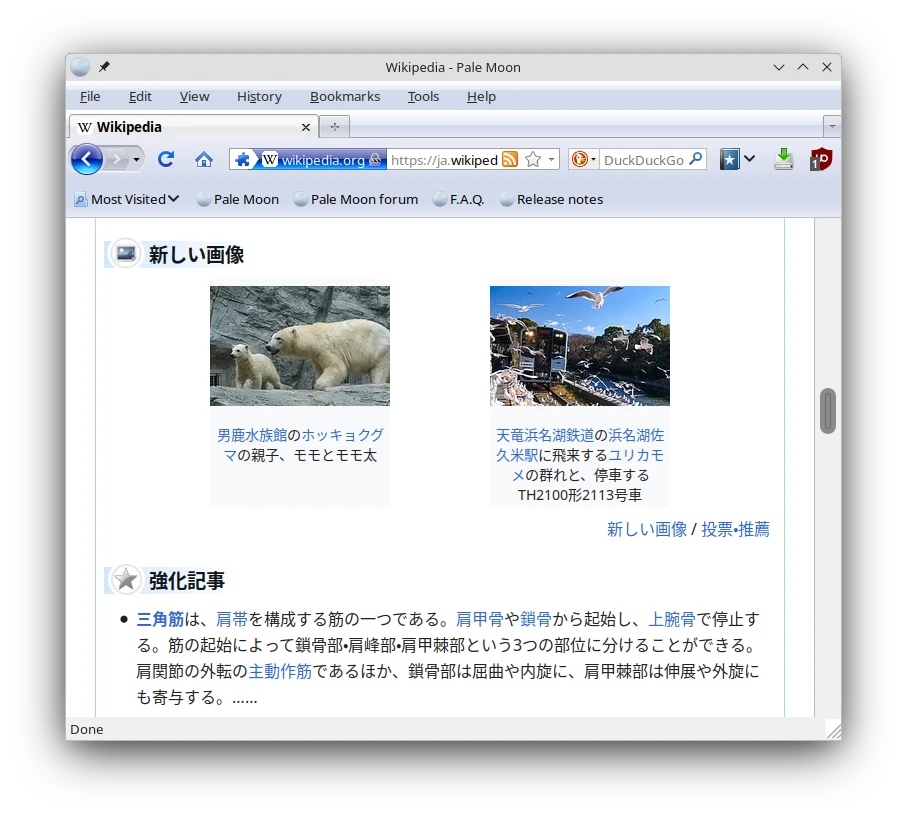 p3.webp