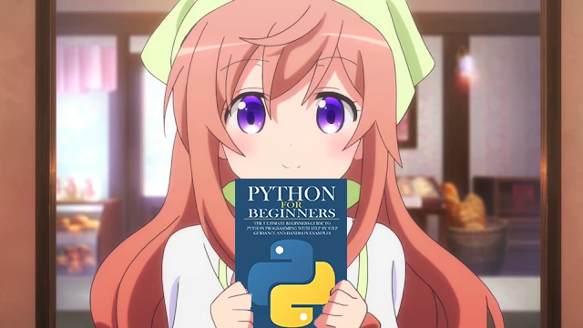 Moka_Hoto_Holding_Python_For_Beginners.webp